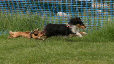 spelen