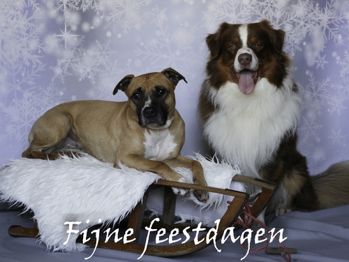 kerst kerst