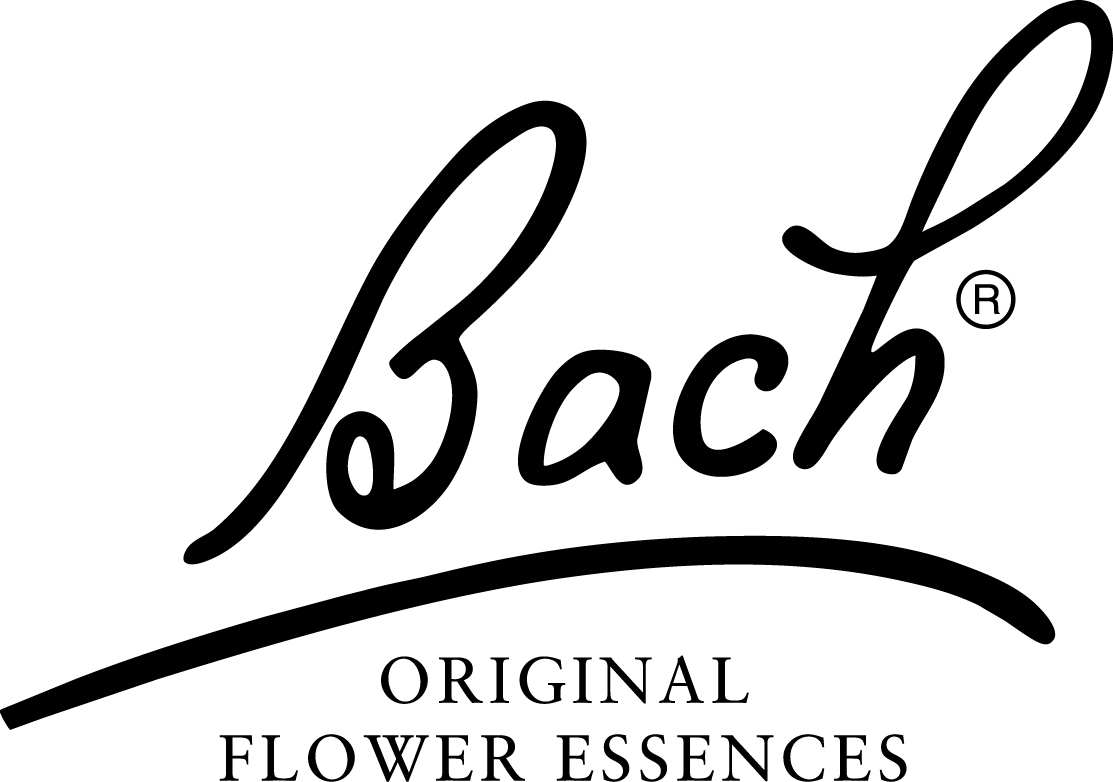 bach 3